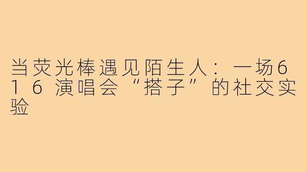 当荧光棒遇见陌生人：一场616演唱会“搭子”的社交实验