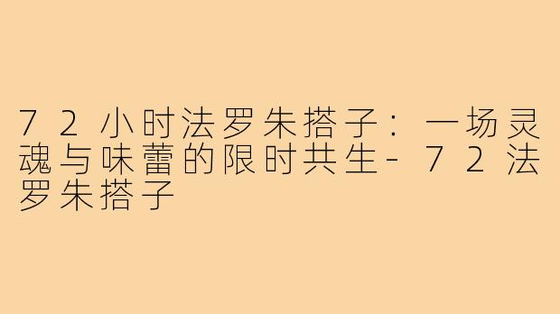 72小时法罗朱搭子：一场灵魂与味蕾的限时共生-72法罗朱搭子