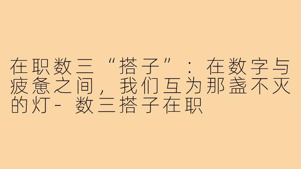 在职数三“搭子”:在数字与疲惫之间,我们互为那盏不灭的灯-数三搭子在职