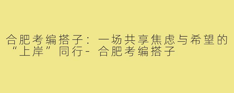 合肥考编搭子:一场共享焦虑与希望的“上岸”同行-合肥考编搭子