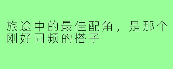 旅途中的最佳配角，是那个刚好同频的搭子