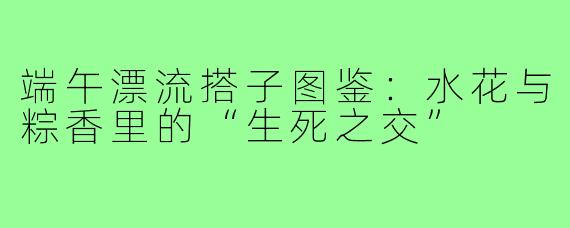 端午漂流搭子图鉴:水花与粽香里的“生死之交”