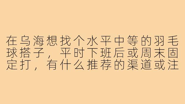 在乌海想找个水平中等的羽毛球搭子,平时下班后或周末固定打,有什么推荐的渠道或注意事项?-羽毛球搭子乌海