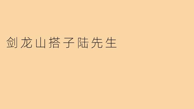 剑龙山搭子陆先生