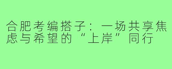 合肥考编搭子:一场共享焦虑与希望的“上岸”同行