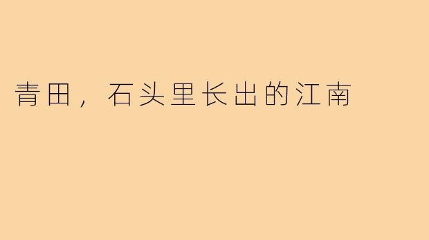 青田，石头里长出的江南
