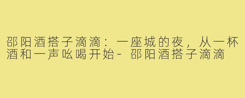 邵阳酒搭子滴滴：一座城的夜，从一杯酒和一声吆喝开始-邵阳酒搭子滴滴