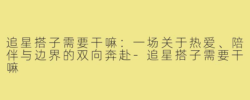 追星搭子需要干嘛:一场关于热爱、陪伴与边界的双向奔赴-追星搭子需要干嘛
