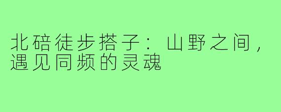 北碚徒步搭子:山野之间,遇见同频的灵魂