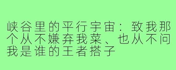 峡谷里的平行宇宙:致我那个从不嫌弃我菜、也从不问我是谁的王者搭子