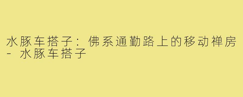 水豚车搭子：佛系通勤路上的移动禅房-水豚车搭子