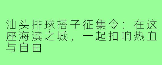 汕头排球搭子征集令：在这座海滨之城，一起扣响热血与自由