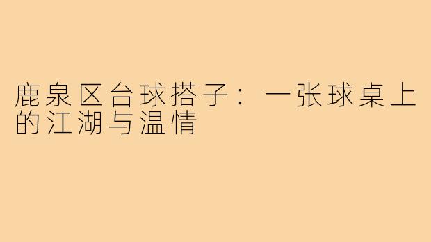 鹿泉区台球搭子:一张球桌上的江湖与温情