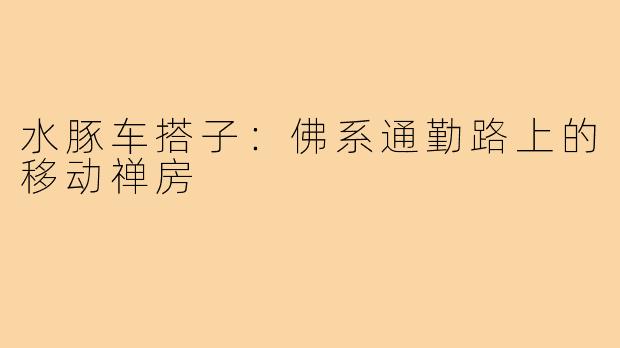 水豚车搭子：佛系通勤路上的移动禅房