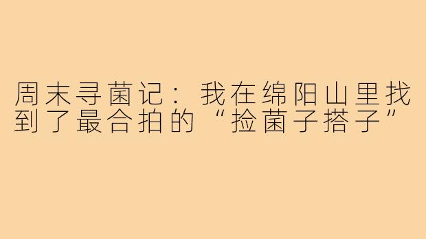 周末寻菌记:我在绵阳山里找到了最合拍的“捡菌子搭子”