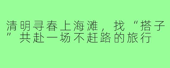 清明寻春上海滩,找“搭子”共赴一场不赶路的旅行
