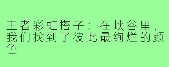 王者彩虹搭子:在峡谷里,我们找到了彼此最绚烂的颜色