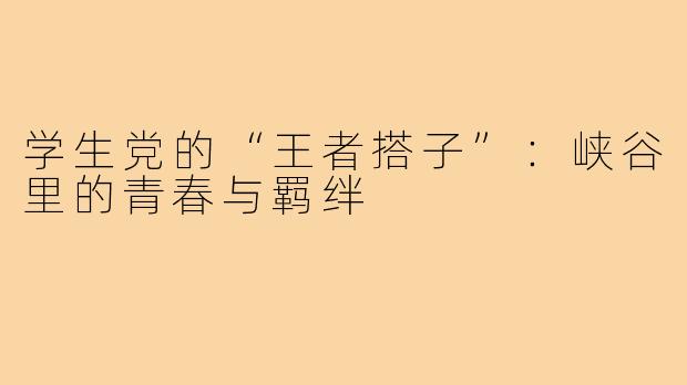 学生党的“王者搭子”:峡谷里的青春与羁绊