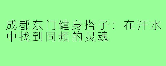 成都东门健身搭子:在汗水中找到同频的灵魂