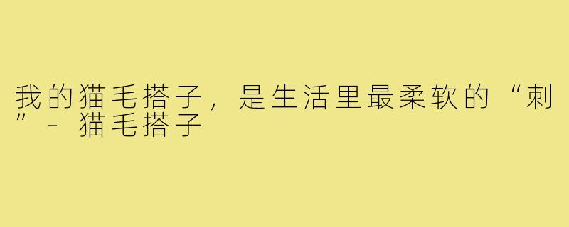 我的猫毛搭子，是生活里最柔软的“刺”-猫毛搭子