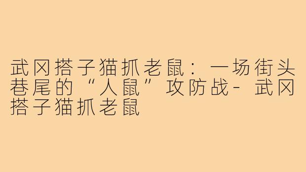 武冈搭子猫抓老鼠:一场街头巷尾的“人鼠”攻防战-武冈搭子猫抓老鼠