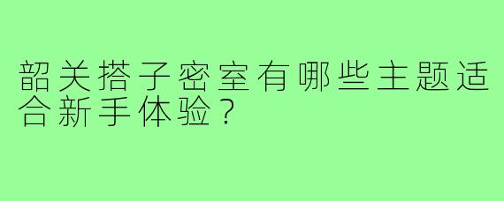 韶关搭子密室有哪些主题适合新手体验?
