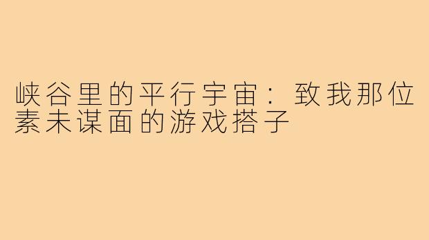 峡谷里的平行宇宙:致我那位素未谋面的游戏搭子