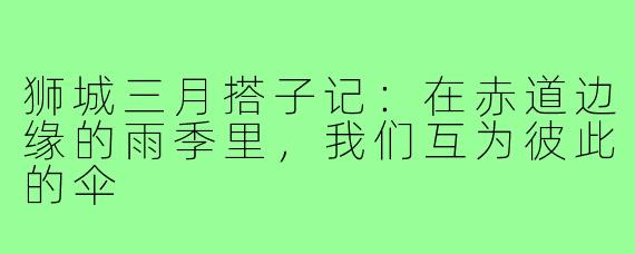 狮城三月搭子记:在赤道边缘的雨季里,我们互为彼此的伞