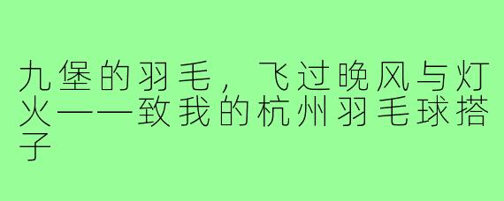 九堡的羽毛,飞过晚风与灯火——致我的杭州羽毛球搭子