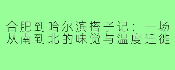 合肥到哈尔滨搭子记:一场从南到北的味觉与温度迁徙
