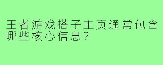 王者游戏搭子主页通常包含哪些核心信息?