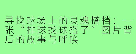 寻找球场上的灵魂搭档:一张“排球找球搭子”图片背后的故事与呼唤