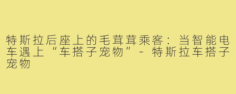 特斯拉后座上的毛茸茸乘客：当智能电车遇上“车搭子宠物”-特斯拉车搭子宠物