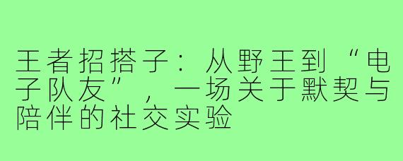 王者招搭子:从野王到“电子队友”,一场关于默契与陪伴的社交实验