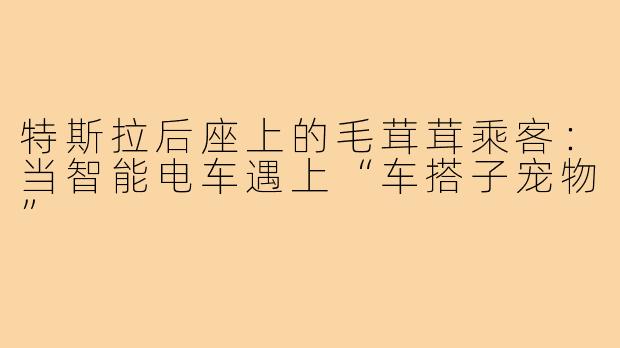 特斯拉后座上的毛茸茸乘客：当智能电车遇上“车搭子宠物”