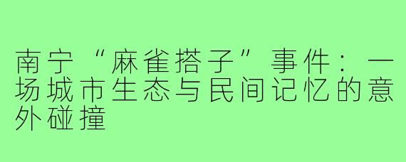 南宁“麻雀搭子”事件:一场城市生态与民间记忆的意外碰撞