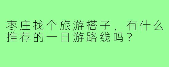 枣庄找个旅游搭子,有什么推荐的一日游路线吗?