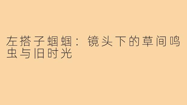 左搭子蝈蝈:镜头下的草间鸣虫与旧时光