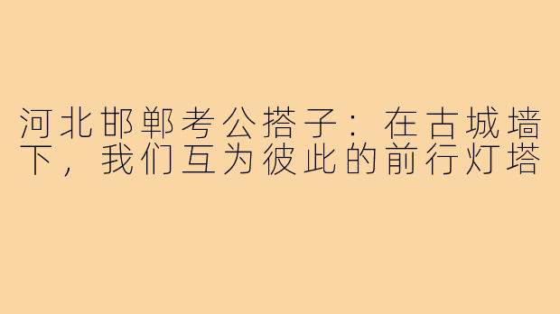 河北邯郸考公搭子:在古城墙下,我们互为彼此的前行灯塔