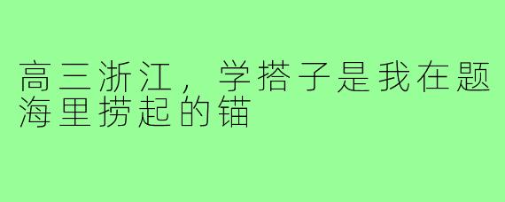 高三浙江,学搭子是我在题海里捞起的锚