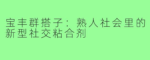 宝丰群搭子:熟人社会里的新型社交粘合剂