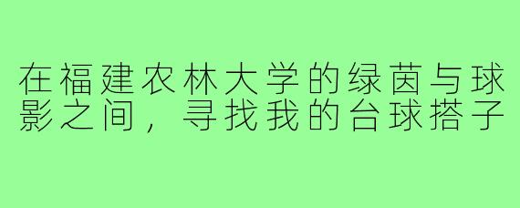 在福建农林大学的绿茵与球影之间,寻找我的台球搭子