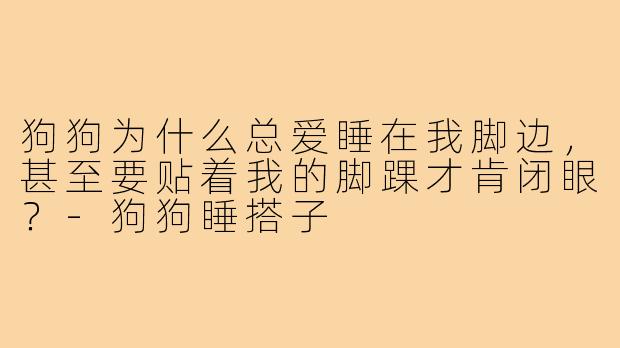 狗狗为什么总爱睡在我脚边,甚至要贴着我的脚踝才肯闭眼?-狗狗睡搭子