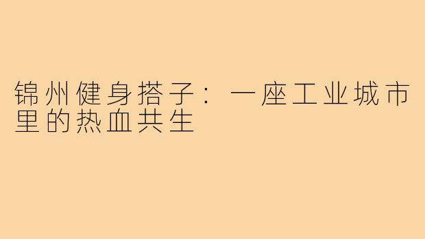 锦州健身搭子:一座工业城市里的热血共生