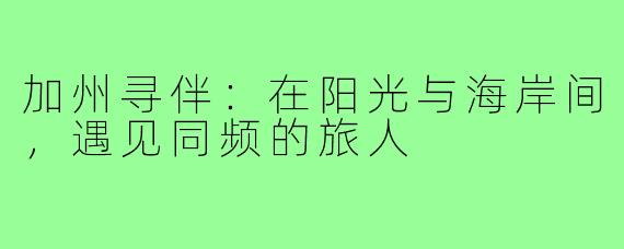 加州寻伴:在阳光与海岸间,遇见同频的旅人