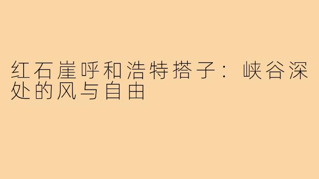 红石崖呼和浩特搭子：峡谷深处的风与自由