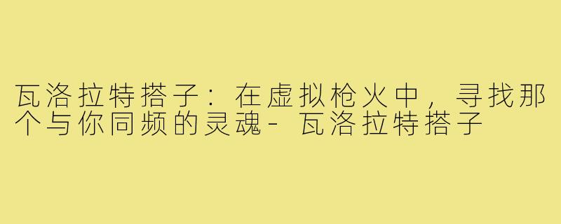 瓦洛拉特搭子:在虚拟枪火中,寻找那个与你同频的灵魂-瓦洛拉特搭子