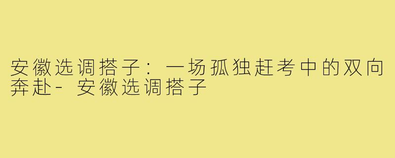 安徽选调搭子:一场孤独赶考中的双向奔赴-安徽选调搭子