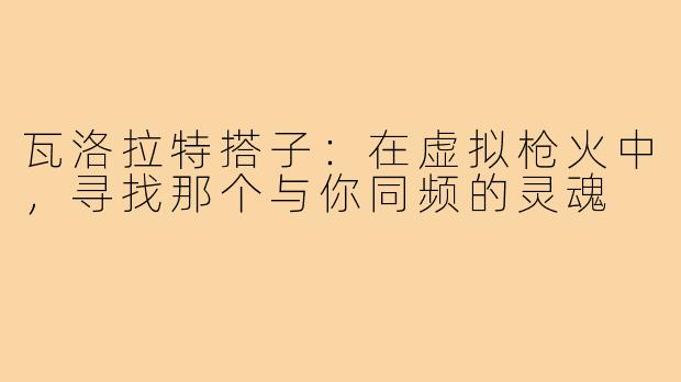 瓦洛拉特搭子:在虚拟枪火中,寻找那个与你同频的灵魂