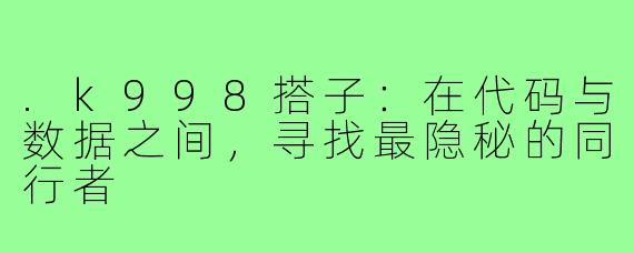 .k998搭子:在代码与数据之间,寻找最隐秘的同行者